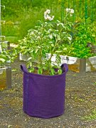 Best Potato Grow Bag