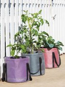 Reinforced Colorful Grow Bags